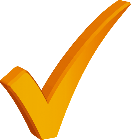 Check icoon oranje.